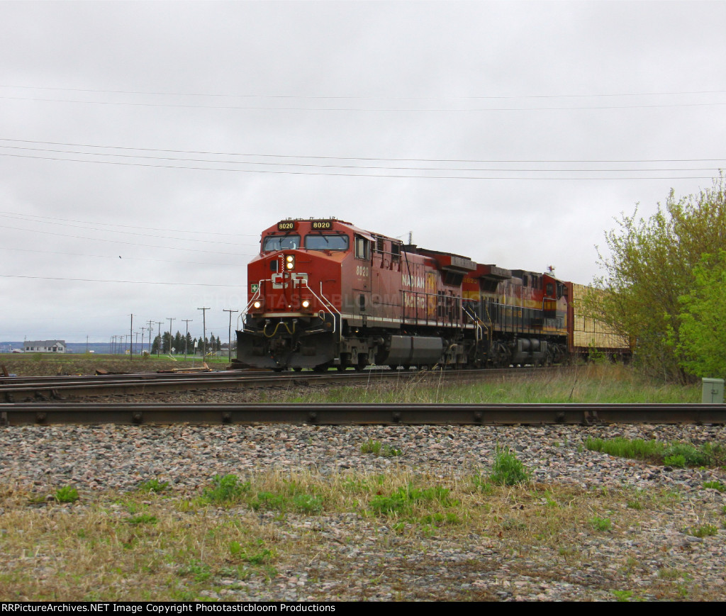 CP 8020